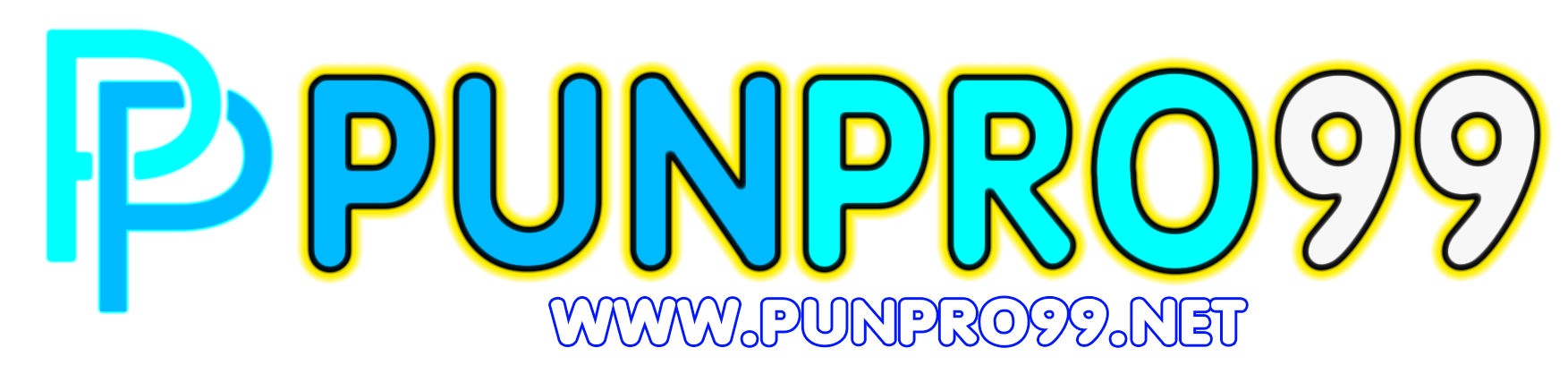 punpro99